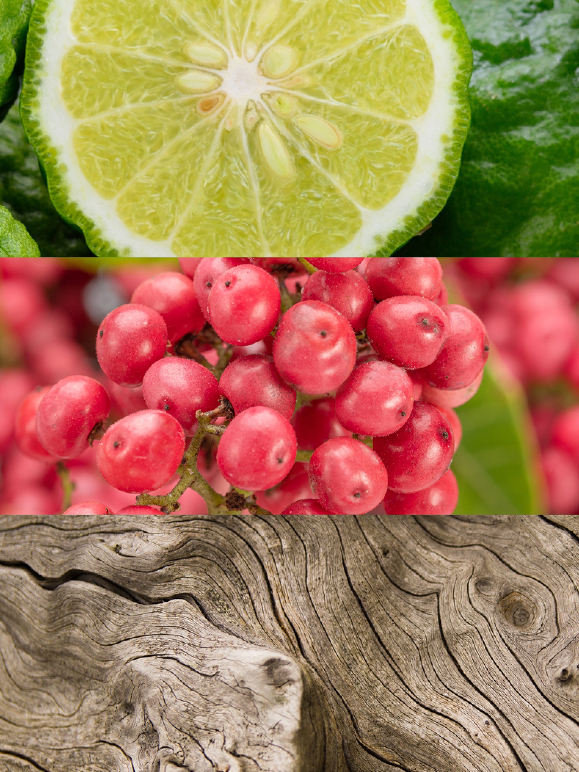 Olfactory Notes. Bergamot, Pink Pepper, Wood