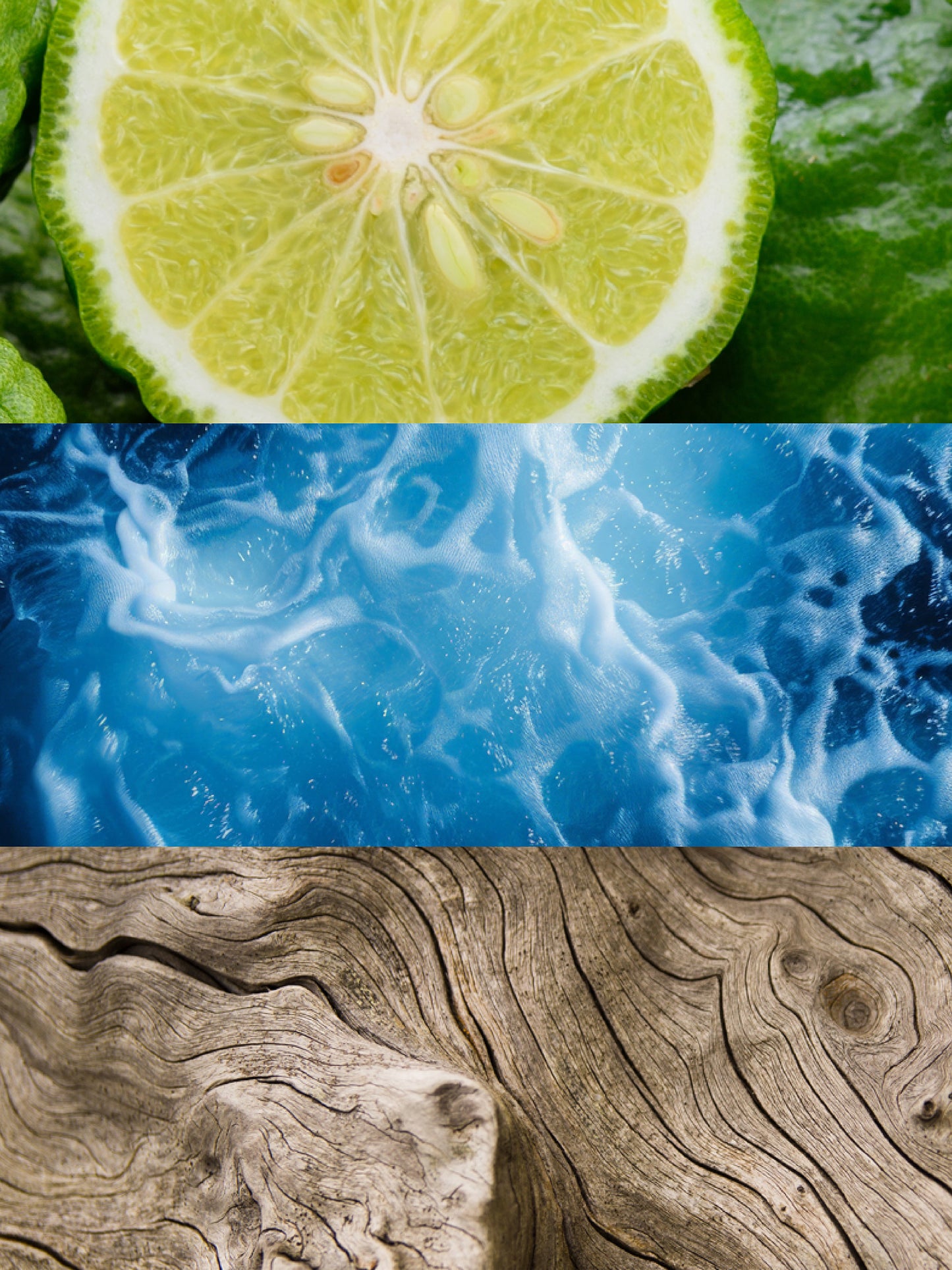 Olfactory Notes. Bergamot, Aquatic Notes, Wood