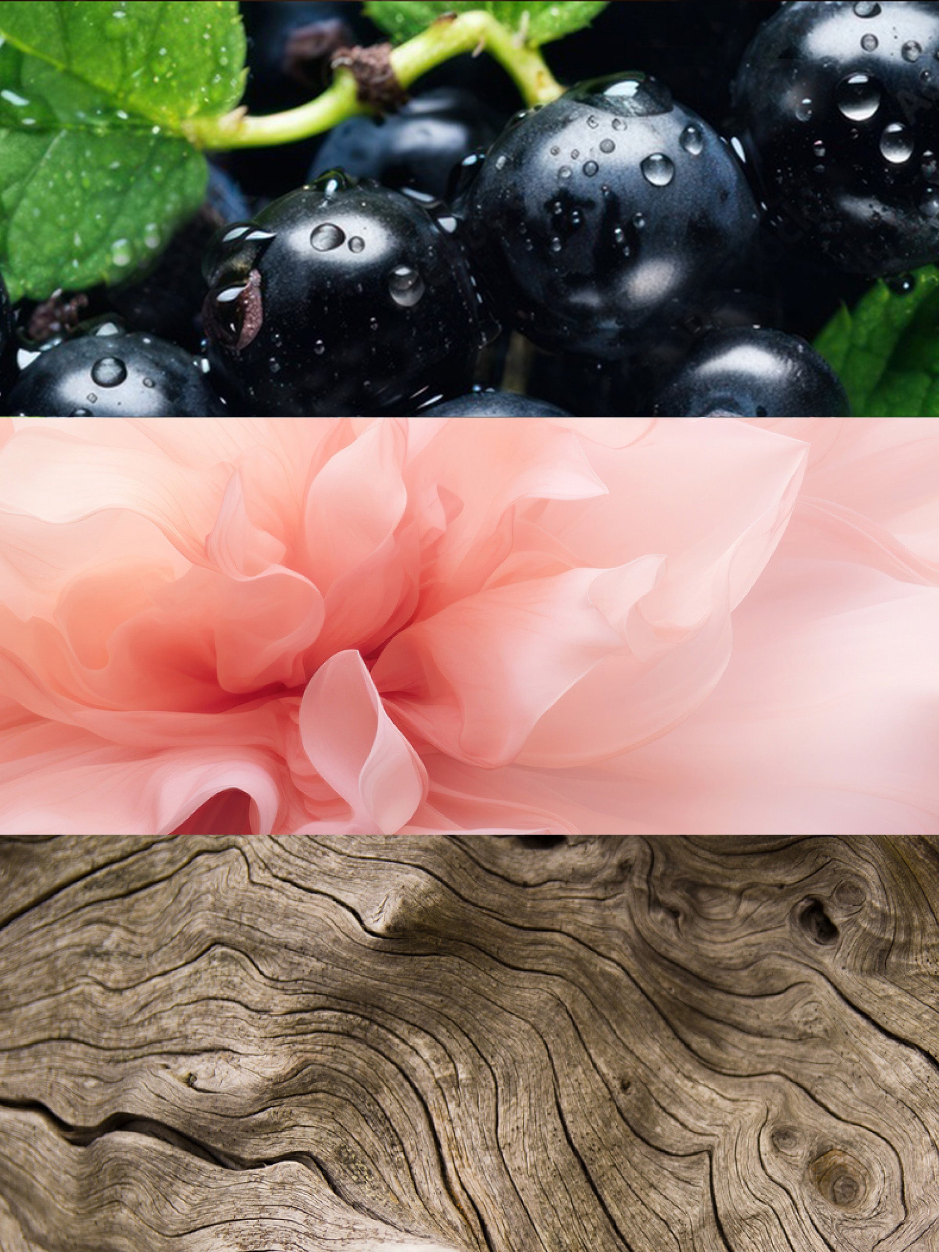 Olfactory notes. Blackcurrant, May Rose, White Wood