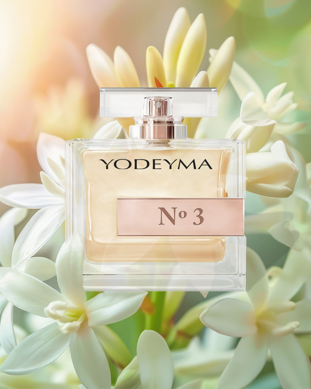 N°3