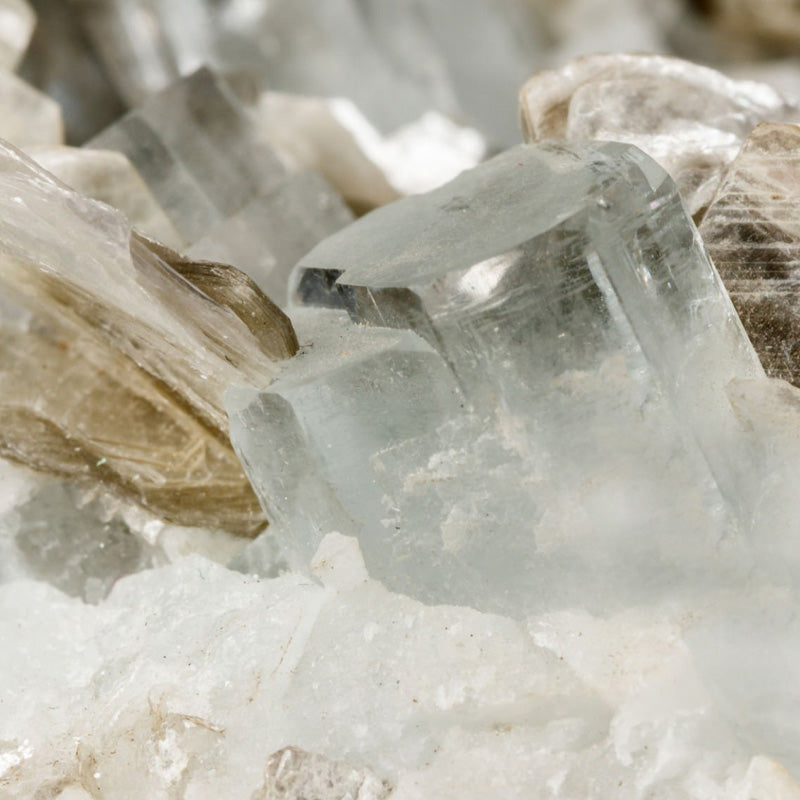 Ambergris