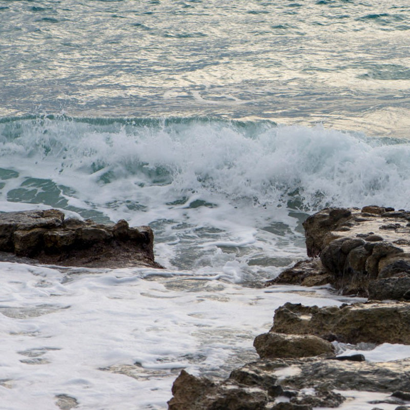 Sea Breeze