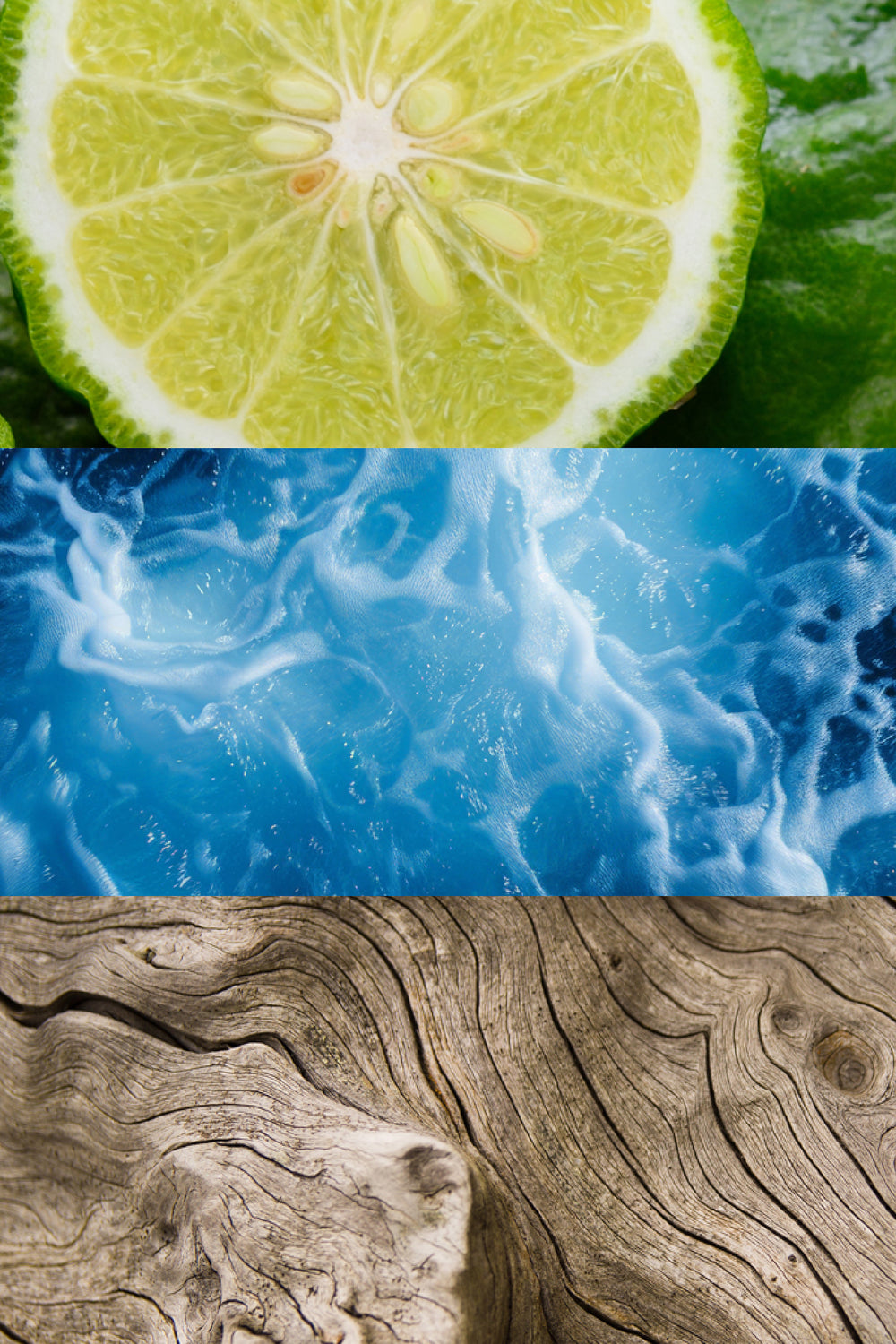 Olfactory Notes. Bergamot, Aquatic Notes, Wood