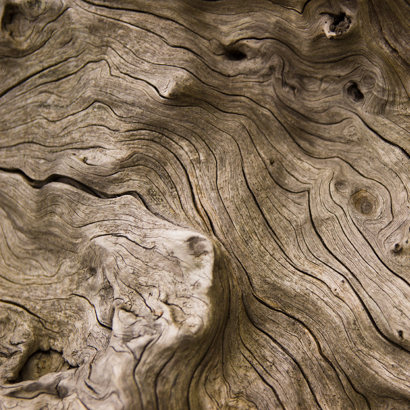 White wood